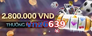 vnz6639