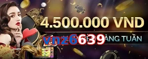 vnz6639