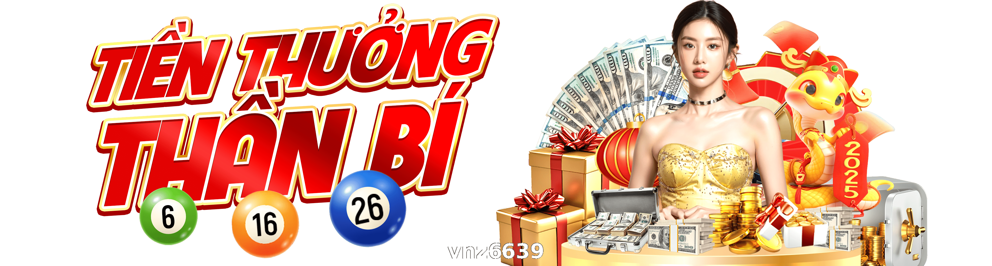vnz6639