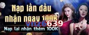 vnz6639