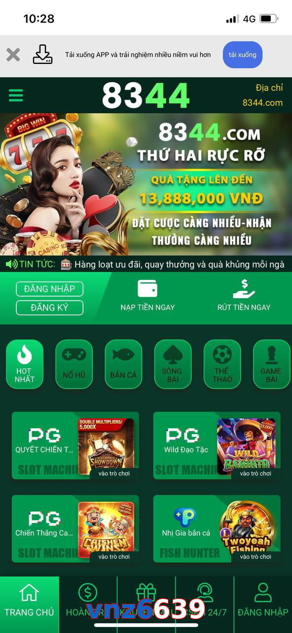 vnz6639
