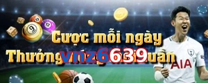 vnz6639