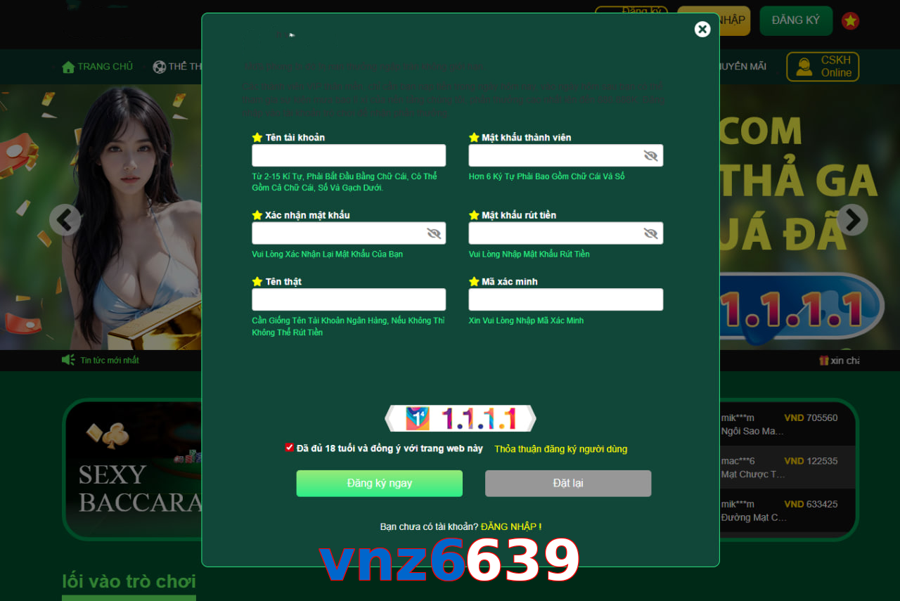 vnz6639